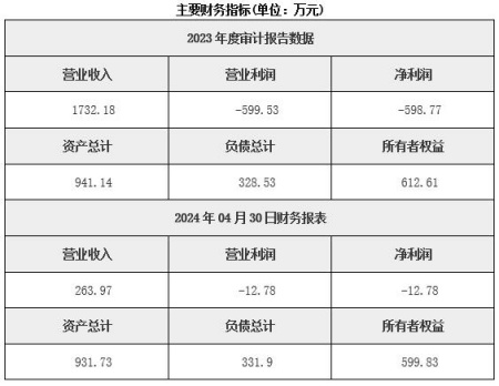 新疆水力發(fā)電公司轉(zhuǎn)讓項(xiàng)目