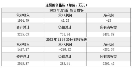 北京軟件技術服務公司轉讓項目