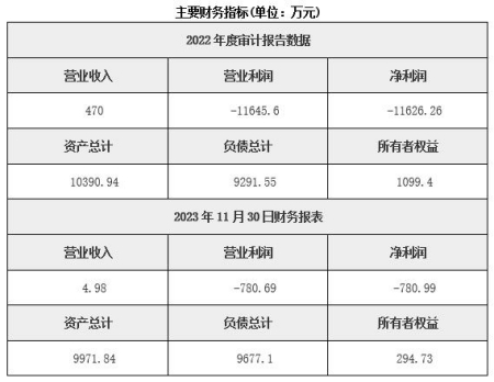 云南有色金屬礦采選公司轉讓項目