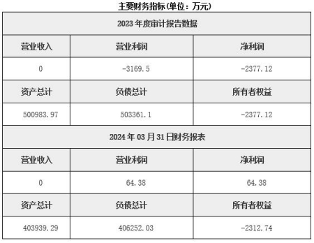 天津房地產開發公司轉讓項目